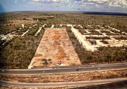 Progreso, Yucatan 97320, Mexico