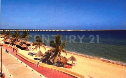 Progreso, Yucatan 97320, Mexico