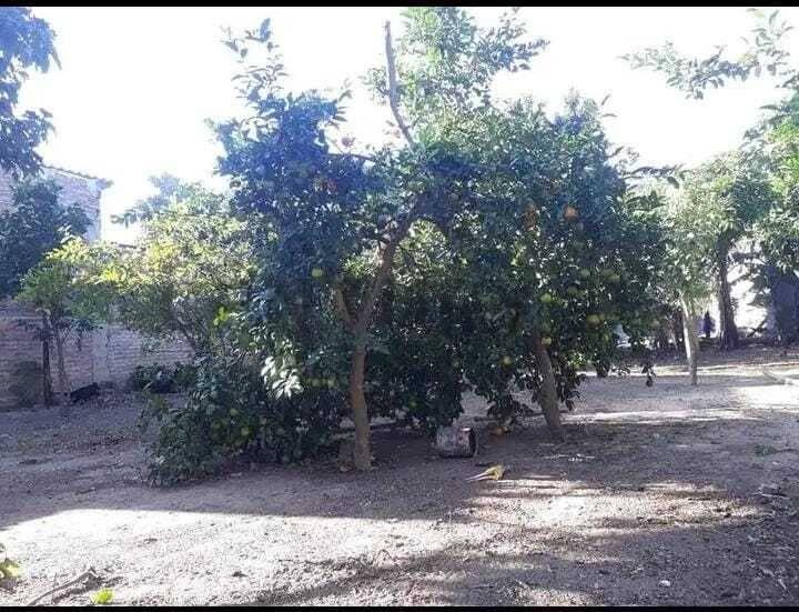 Av. Arroyito 9no Anillo , Ciudadelas, Santa Cruz 00001, Bolivia