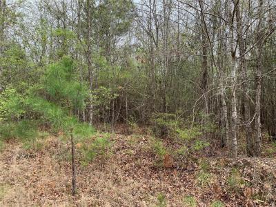 Sikes Orchard Road, Jamestown, Louisiana 71045, USA