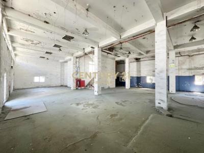 興邦路, 桃園區, 桃园 330, 台湾