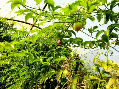 Bela Bela, Limpopo, South Africa