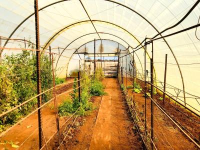 Bela Bela, Limpopo, South Africa