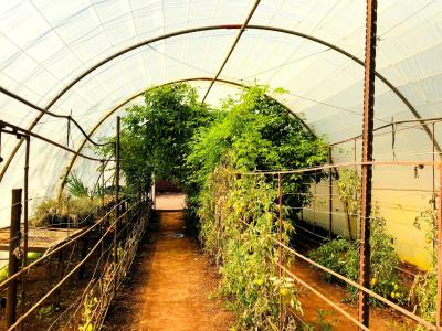 Bela Bela, Limpopo, South Africa