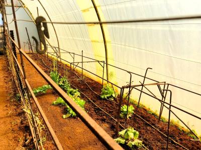 Bela Bela, Limpopo, South Africa