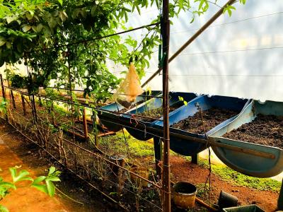 Bela Bela, Limpopo, South Africa