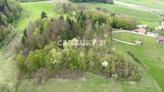 Šentjur, Grobelno-del, Šentjur, Savinjska 3231, Slovenia