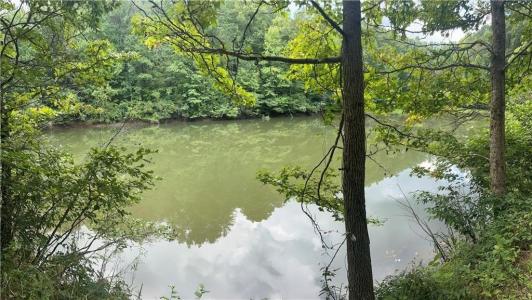 308 Old Whitestone Road, Talking Rock, Georgia 30175, USA