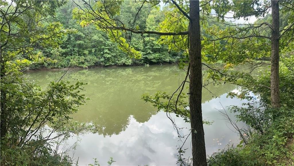 308 Old Whitestone Road, Talking Rock, Georgia 30175, Stati Uniti