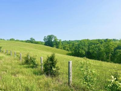 192 Stone Lane, Sadieville, Kentucky 40370, USA