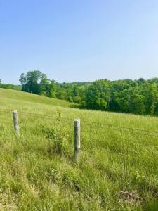 192 Stone Lane, Sadieville, Kentucky 40370, USA