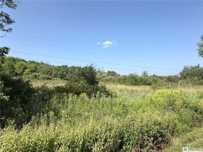 Pine Ridge Rd., Jamestown, 紐約州 14701, 美國