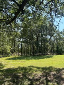 598 FM 195, Clarksville, Texas 75426, USA