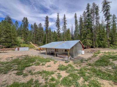 3402 Larkspur Way, Kettle Falls, Washington 99141, Stati Uniti