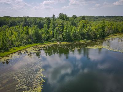 4185 N. Taylor Road, Branch, Мичиган 49402, Соединенные Штаты