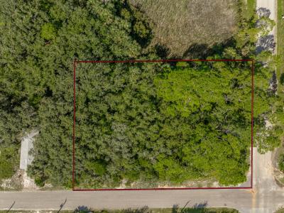 480 E Pine Ave, St. George Island, 佛羅里達州 32328, 美國