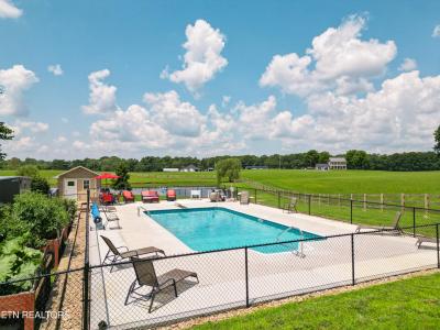 287 R. S. Marcum Rd, Oneida, Tennessee 37841, Stati Uniti