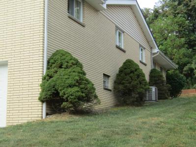 131 Forest Rd, Weirton, 西維吉尼亞州 26062, 美國