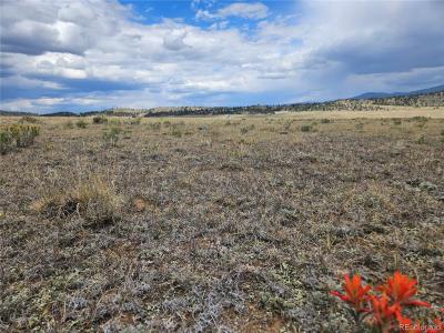 4124 Clear Creek Road, Hartsel, Colorado 80449, États-Unis