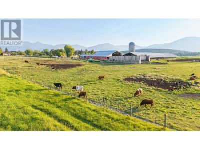 2516 20TH STREET, Lister, Columbia Britannica V0B 1G2, Canada