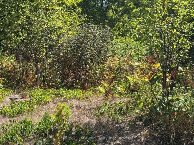 931 RIVER ROAD E, Wasaga Beach, Ontario L9Z 2P4, Canadá