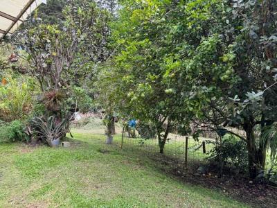 , Mata De Plátano Goicoechea, San José 00001, Costa Rica