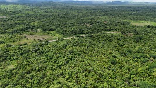 San Antonio, Toledo 00001, بيليز