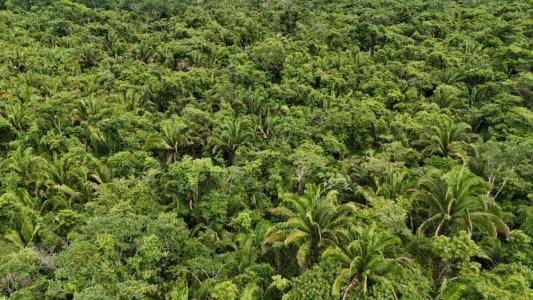 San Antonio, Toledo 00001, Belize