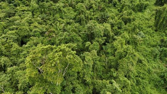 San Antonio, Toledo 00001, Belize