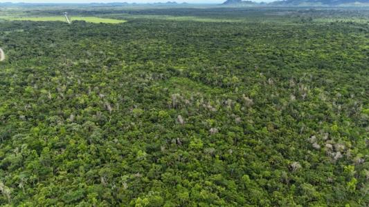San Antonio, Toledo 00001, Bélize