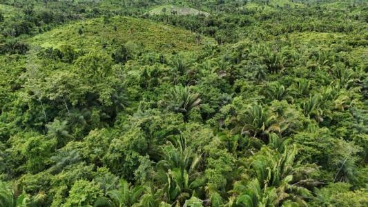 San Antonio, Toledo 00001, Bélize