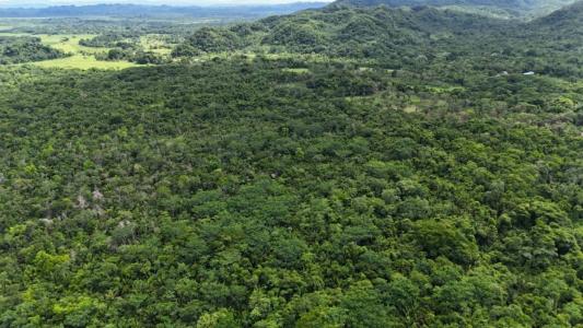 San Antonio, Toledo 00001, Bélize