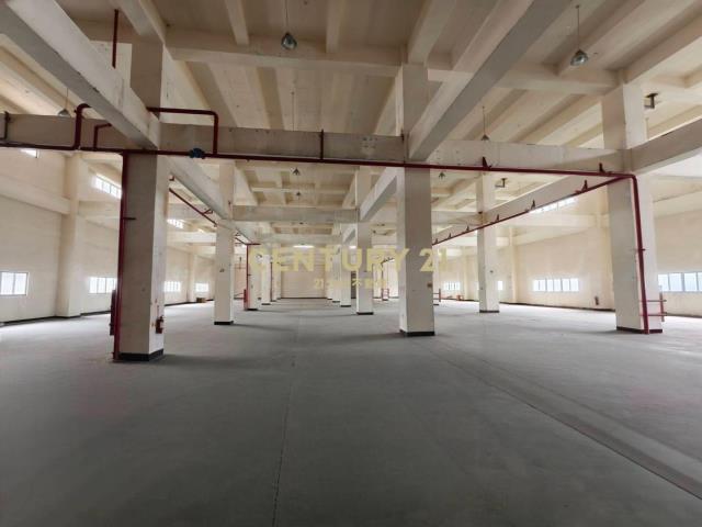 泰圳路, 楊梅區, Taoyuan City 326, Taiwan