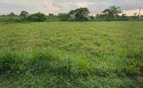 福祥路一段, 觀音區, Taoyuan City 328, Taiwan