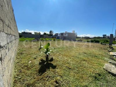 San Mateo Atenco, Estado De México 52104, México