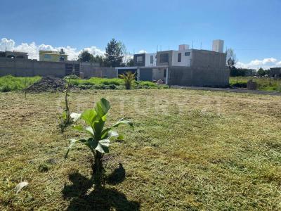 San Mateo Atenco, Estado De México 52104, México