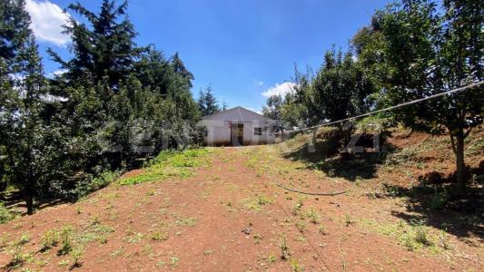 paraje LA ANGORA S/N,, Villa Del Carbón, Estado De México 54300, México