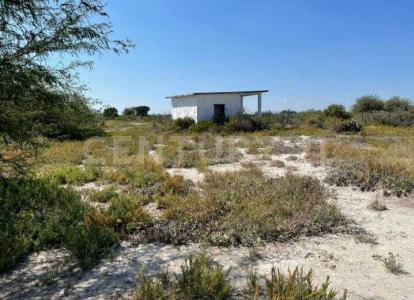Estacion Las Tablas S/N,, Río Verde, San Luis Potosi 79630, Mexico