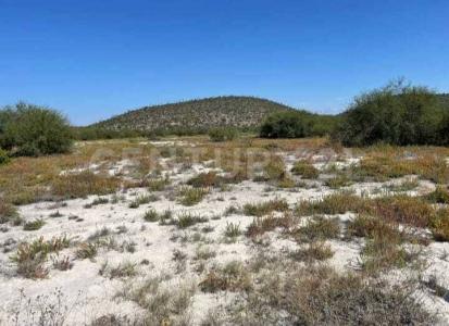 Estacion Las Tablas S/N,, Río Verde, San Luis Potosi 79630, Mexico