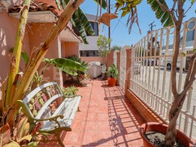 Berna 11,, Tijuana, 下加利福尼亚州 22117, 墨西哥