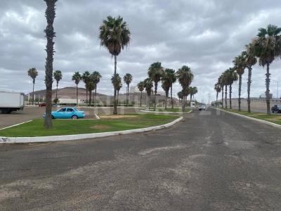 Ahome, Sinaloa 81360, Mexique