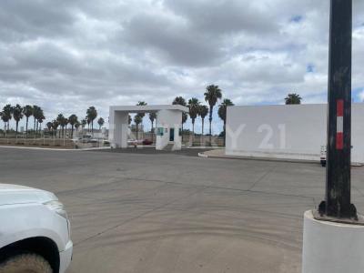 Ahome, Sinaloa 81360, México