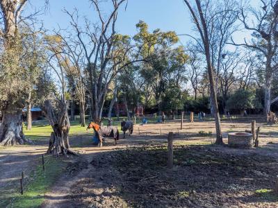 Anchorena 1754, Pilar, GBA Norte 1630, Argentina