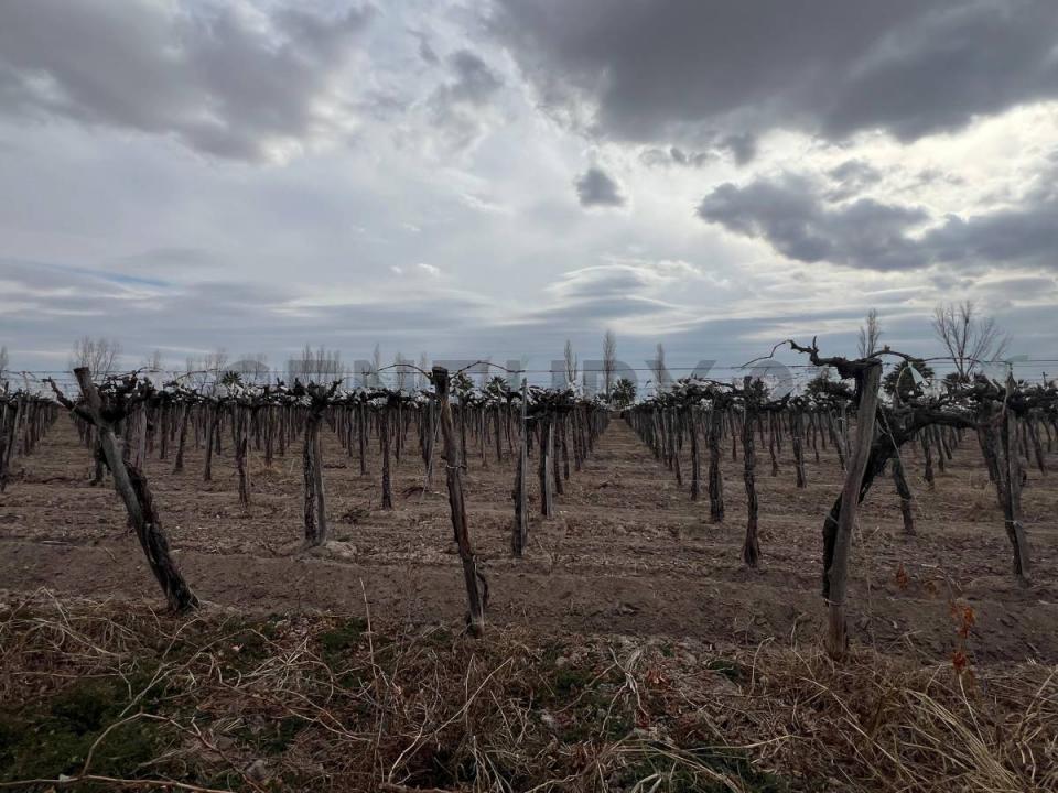 Calle La Plata y Calle 6, 25 de Mayo , Casuarinas, サンフアン 00001, アルゼンチン