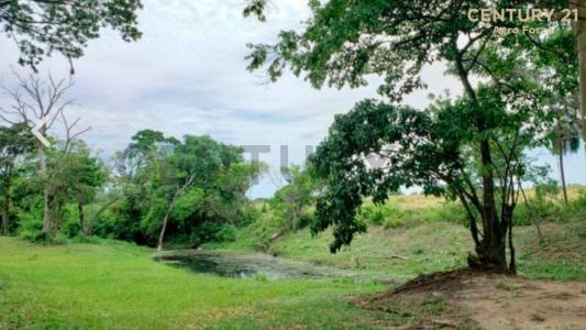 Norte, Santa Cruz 0000, Bolivia