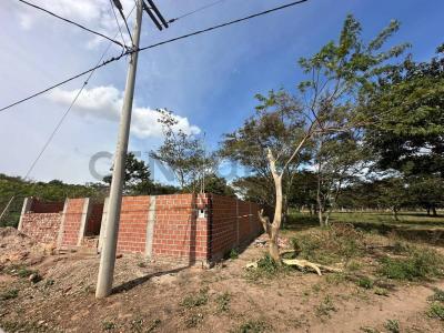 Este, Santa Cruz 00001, Bolivia