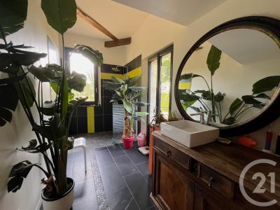 Moulon, Aquitânia 33420, França