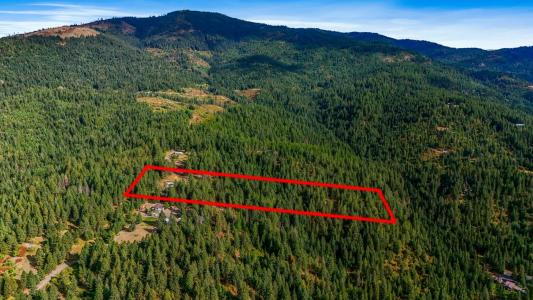 12220 S Alpine Fern Ln, Rockford, Washington 99030, USA