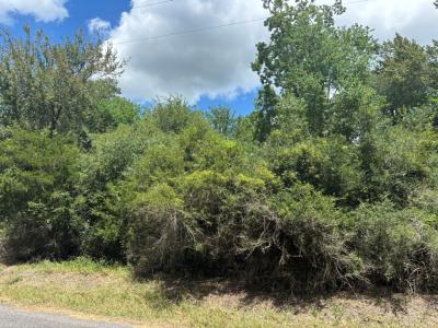 J Jardell Rd, Vinton, 路易西安納州 70668, 美國