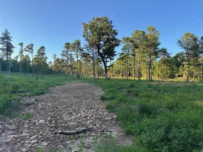000 Private Road 4485, Ozone, Arkansas 72854, USA